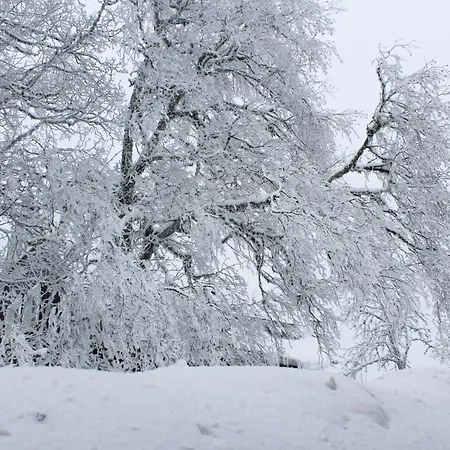 Dom wakacyjny John B Rinken